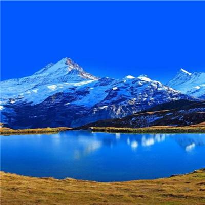 万博max体育注册